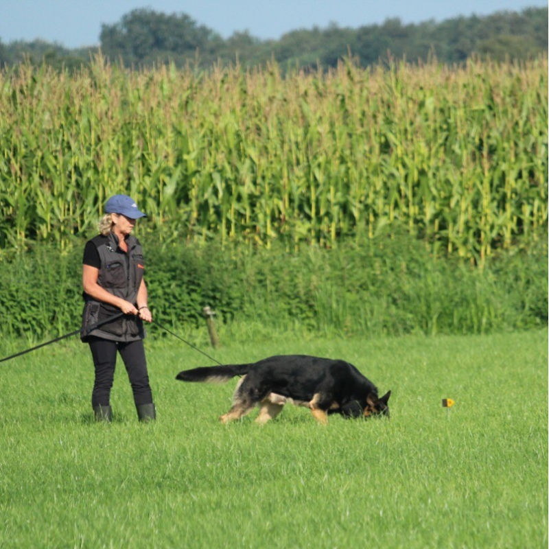 Bikoe speuren