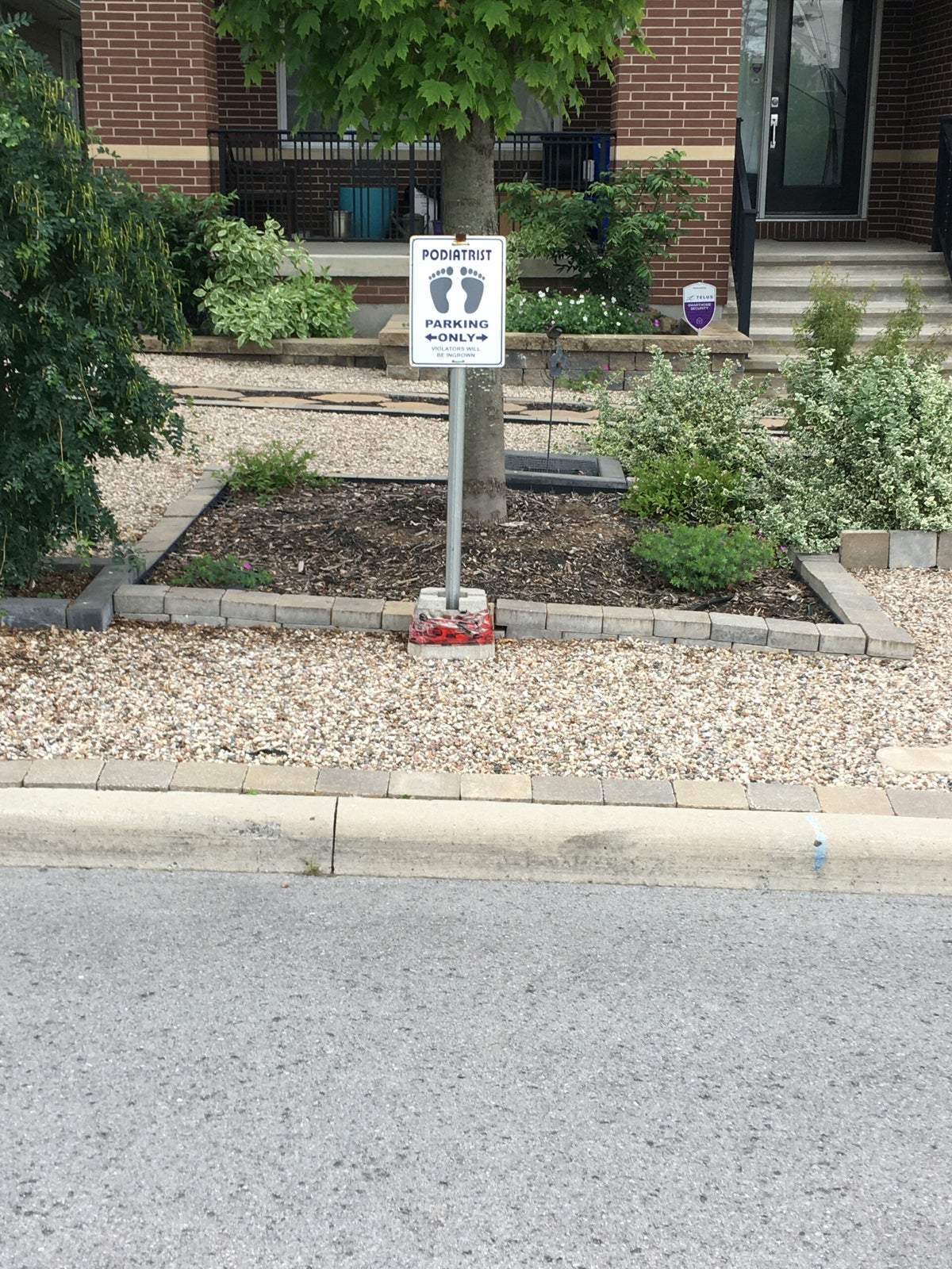 Kanata North Orthotics