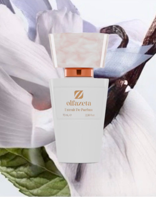 042 – Belle Âme | Olfazeta Damenparfüm | 30 % Parfüm-Essenz