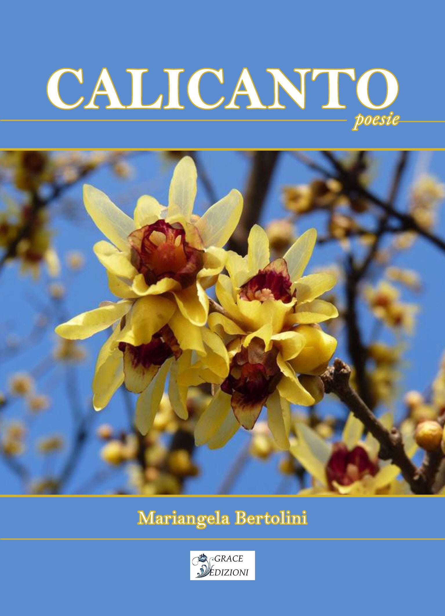 Calicanto