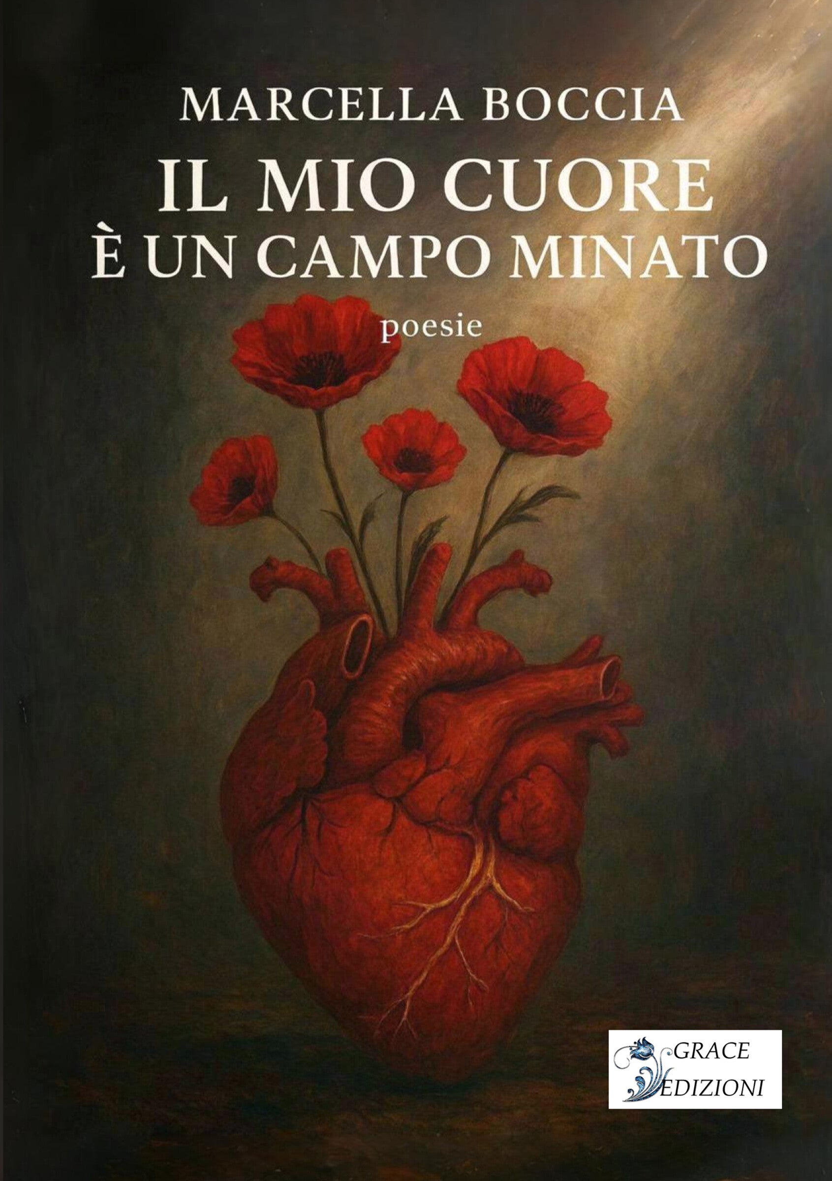 Il mio cuore è un campo minato