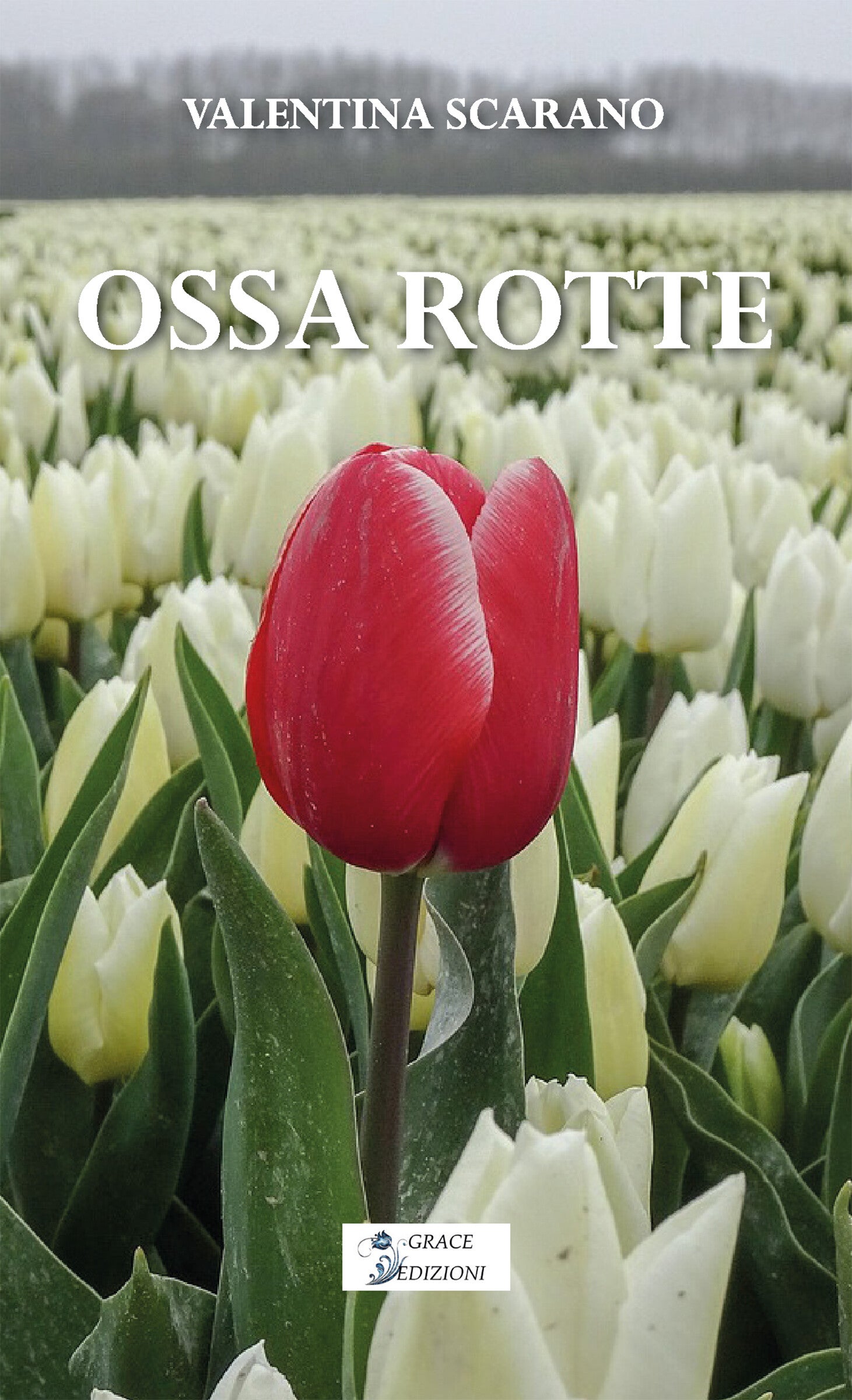 Ossa rotte