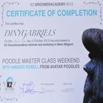 CertficateofcompletionDinyGabrilsMasterClassWeekendHondentrimsalonHappyFeet-1.jpg