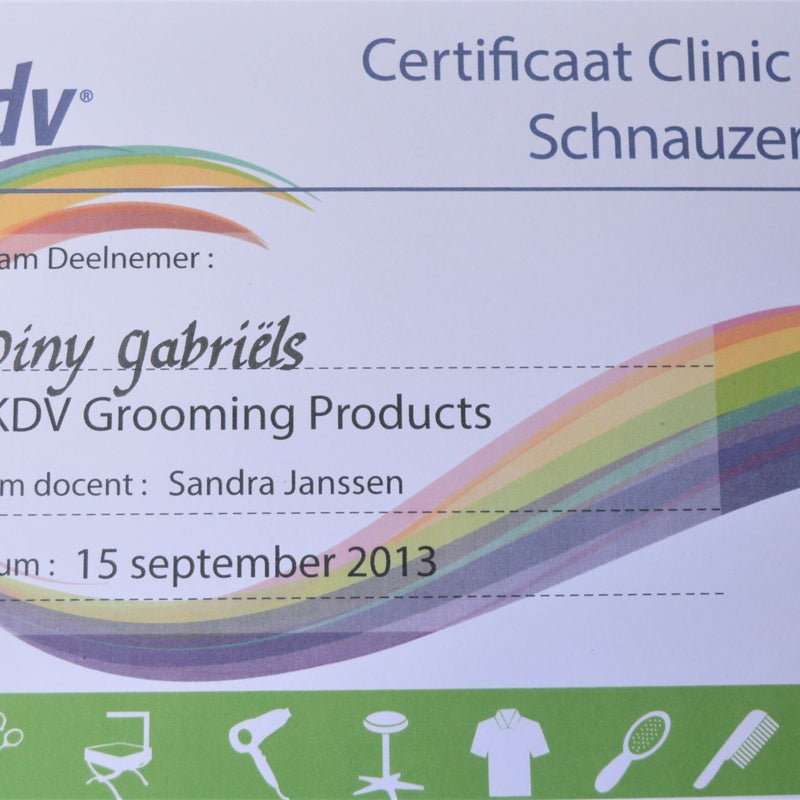 CertificaatClinicDagSchnauzerDinyGabrilsHondentrimsalonHappyFeet.jpg