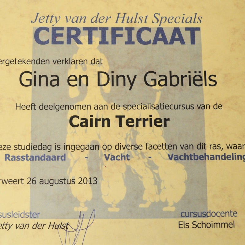 CertificaatDinyGinaGabrilsCairnTerrierhondentrimsalonHappyFeet-1.jpg