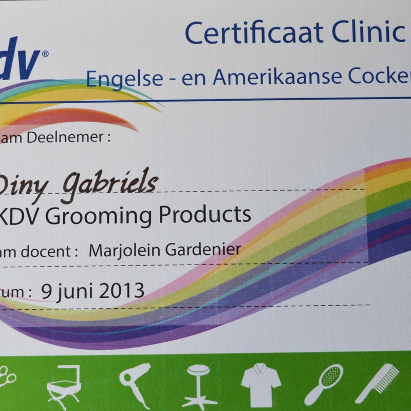 CertificaatClinicDagDinyGabrilsOKDVGroomingProductsHondentrimsalonHappyFEet.jpg