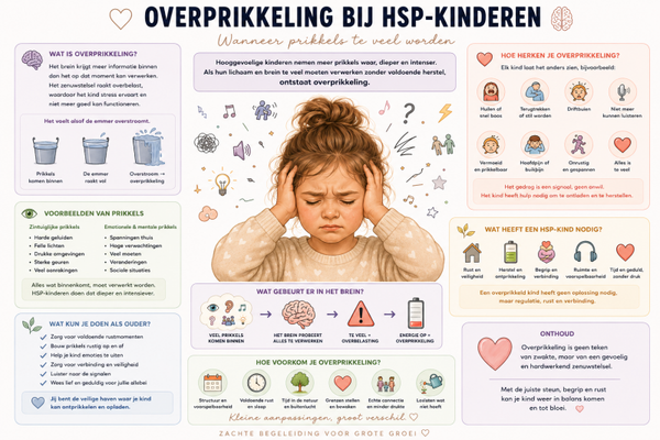 Digitale poster Overprikkeling bij HSP kinderen