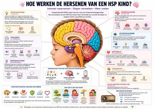 Digitale Poster HSP Kinderbrein
