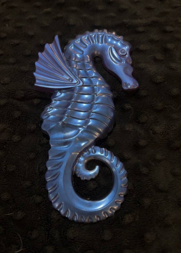 Sea Horse