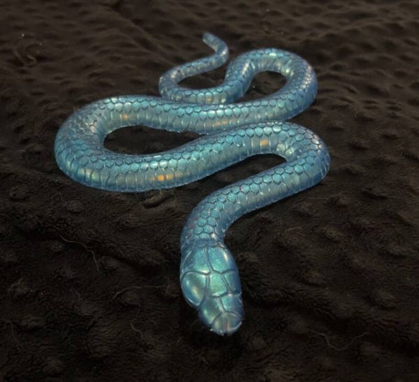 Large Snake