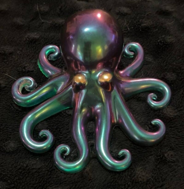 Octopus