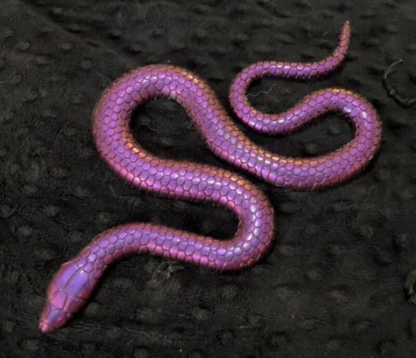 Large Snake