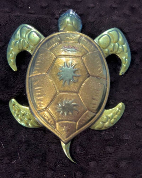 Sunny Sea Turtle