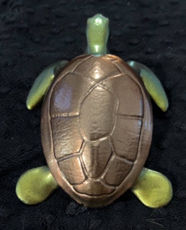 Sea Turtle