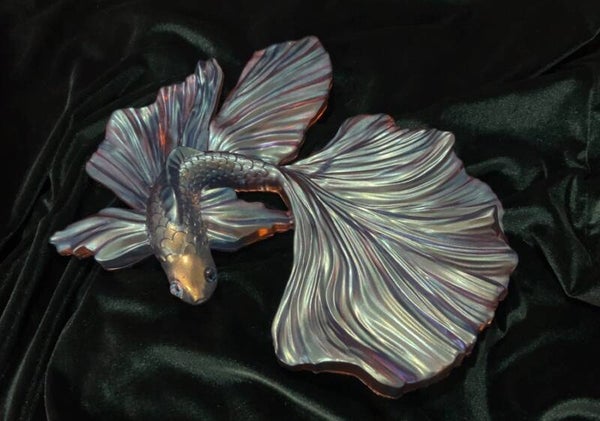 Large Betta Fish