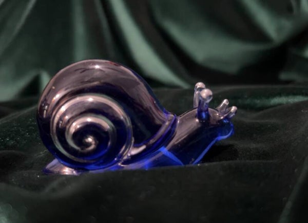 Snail Set