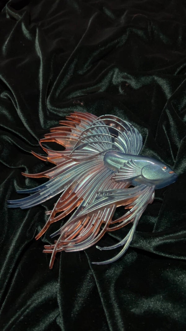 Small Betta Fish