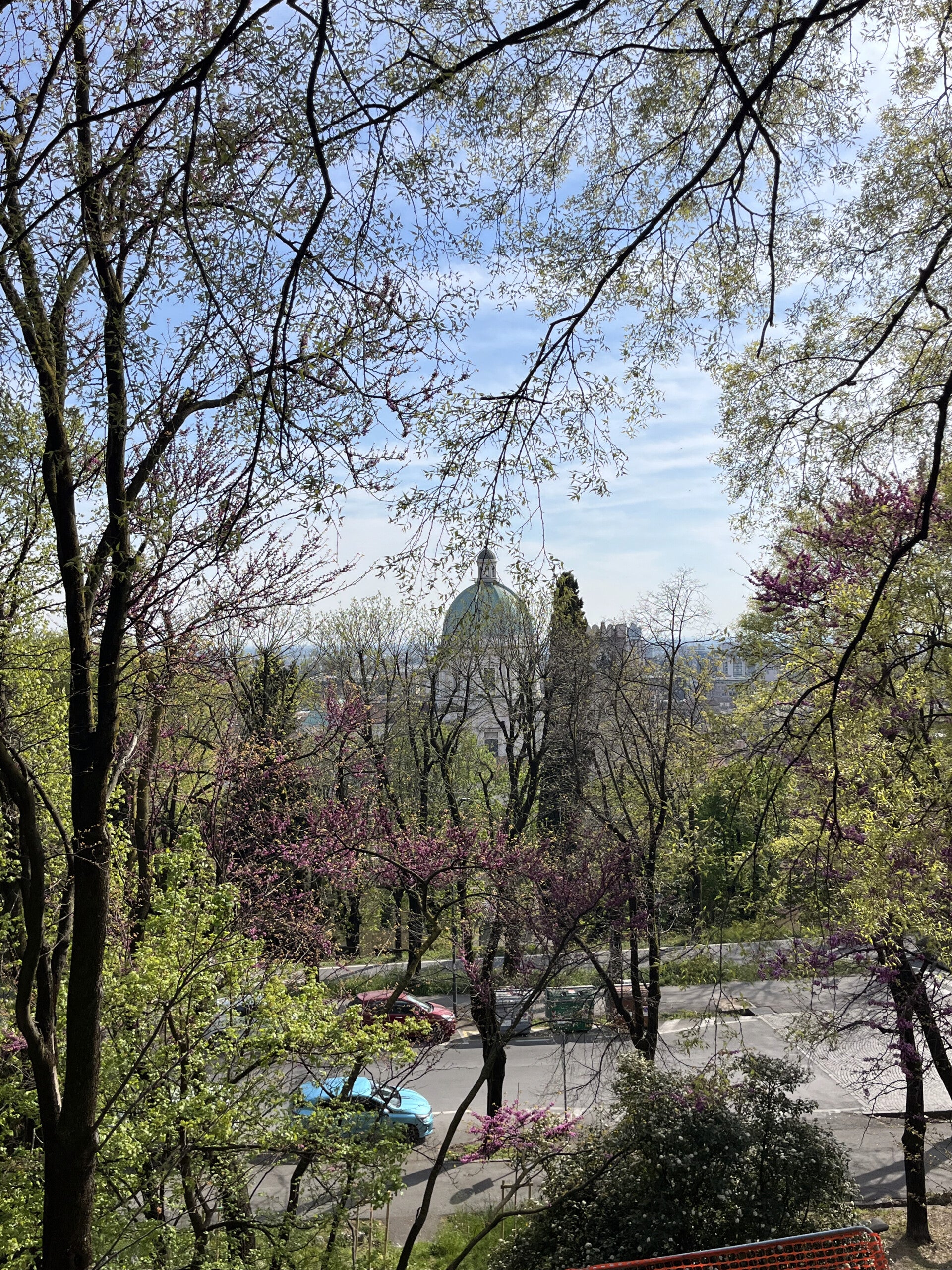 img_9033-standard.jpg