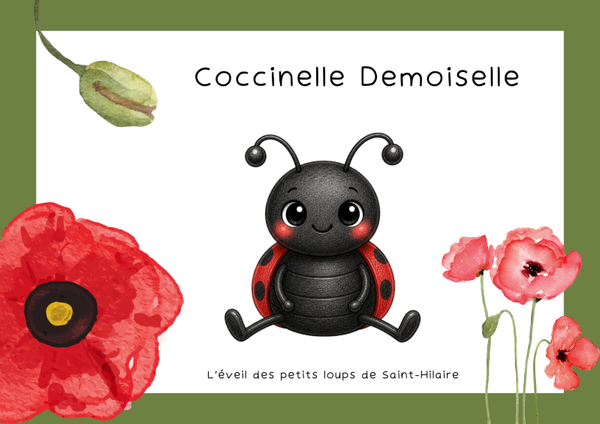 Coccinelle demoiselle kamishibaï