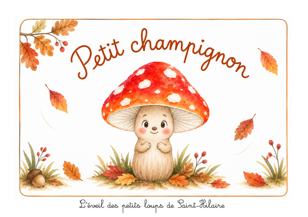 Petit champignon kamishibaï A4