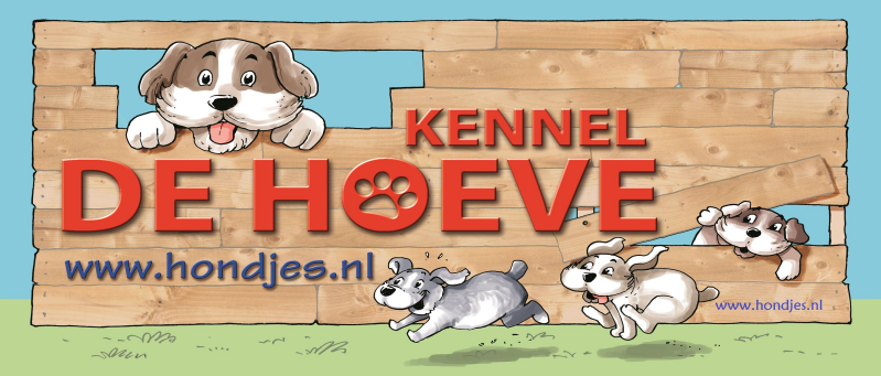 hondenkennel boomers doodle maltipoo bolonka zwetna