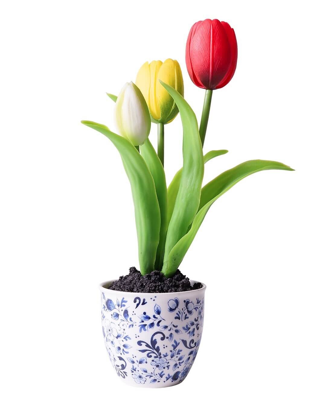 Bloempot met Tulpen Bloemen