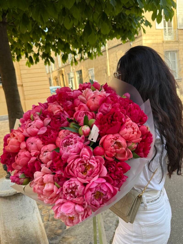 Pivoine