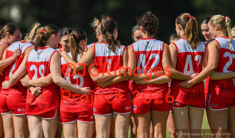 figtree_vs_lions_29082026-jgrimages-10-standard.jpg