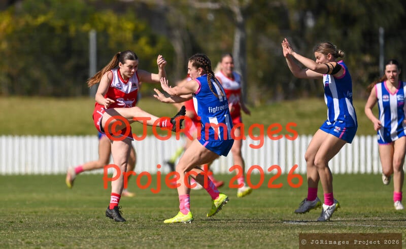 figtree_vs_lions_29082026-jgrimages-142-standard.jpg