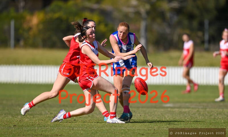 figtree_vs_lions_29082026-jgrimages-145-standard.jpg