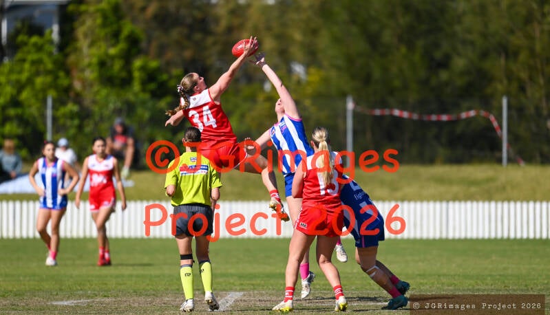 figtree_vs_lions_29082026-jgrimages-151-standard.jpg
