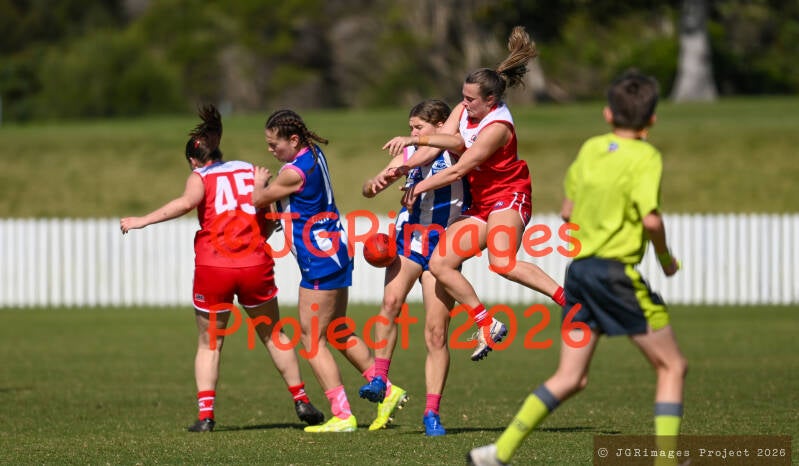 figtree_vs_lions_29082026-jgrimages-153-standard.jpg