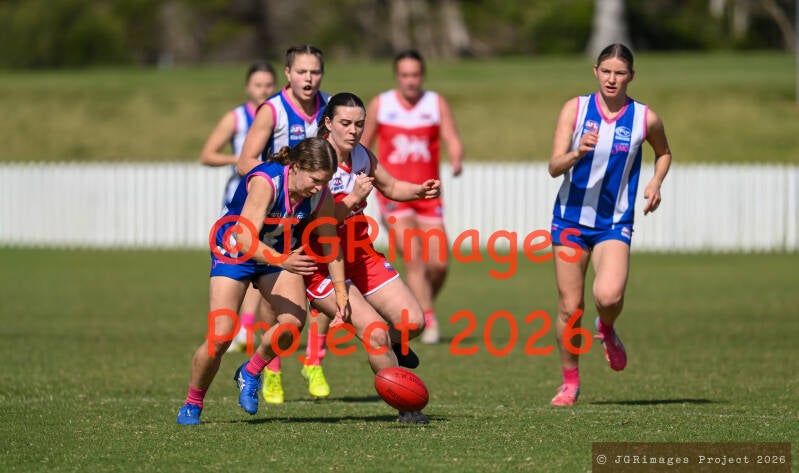 figtree_vs_lions_29082026-jgrimages-154-standard.jpg