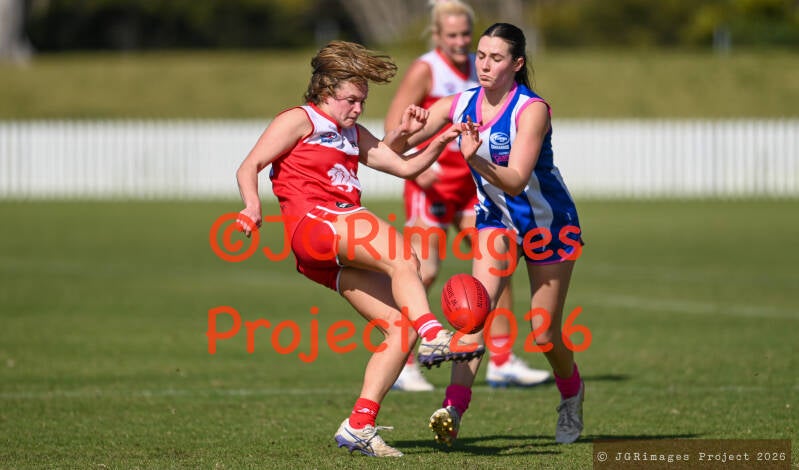 figtree_vs_lions_29082026-jgrimages-155-standard.jpg