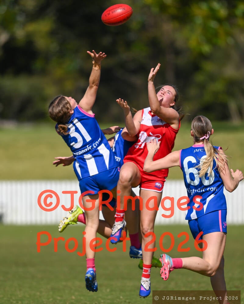 figtree_vs_lions_29082026-jgrimages-156-standard.jpg
