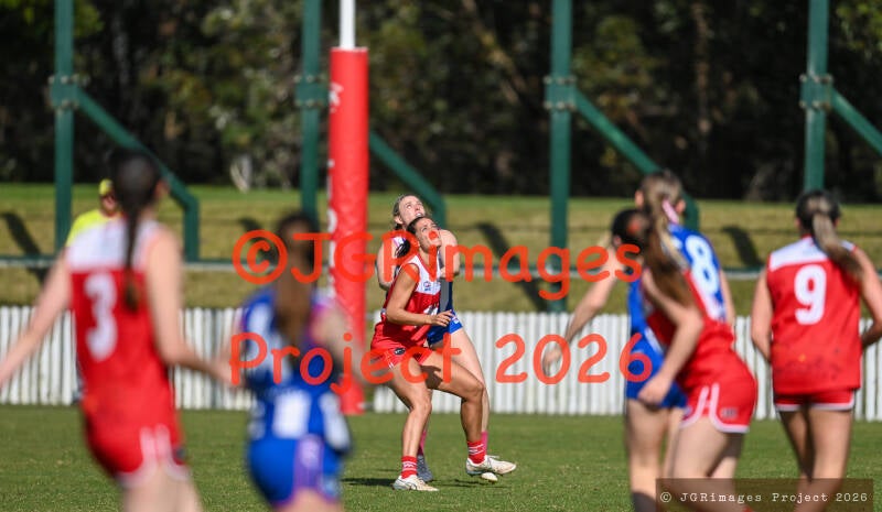 figtree_vs_lions_29082026-jgrimages-157-standard.jpg