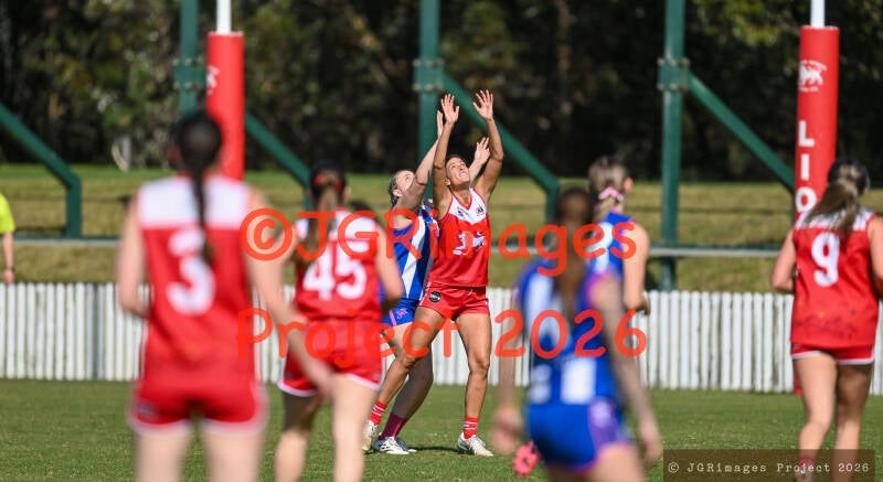 figtree_vs_lions_29082026-jgrimages-158-standard.jpg
