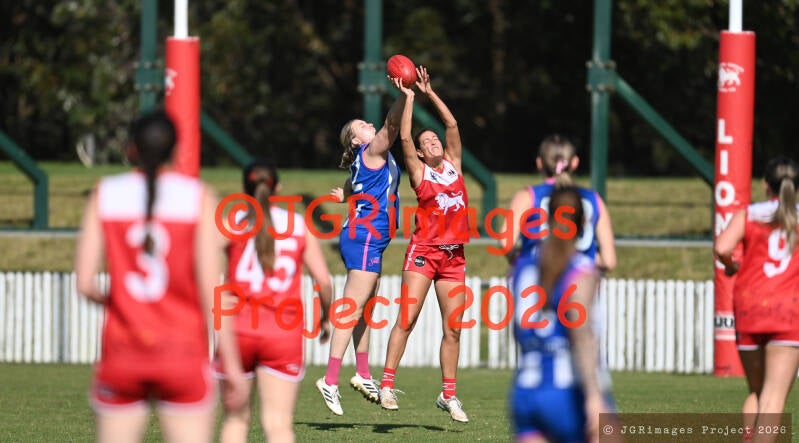 figtree_vs_lions_29082026-jgrimages-159-standard.jpg