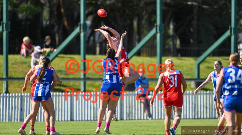 figtree_vs_lions_29082026-jgrimages-172-standard.jpg