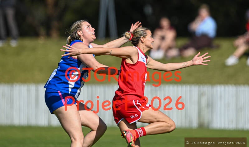 figtree_vs_lions_29082026-jgrimages-174-standard.jpg