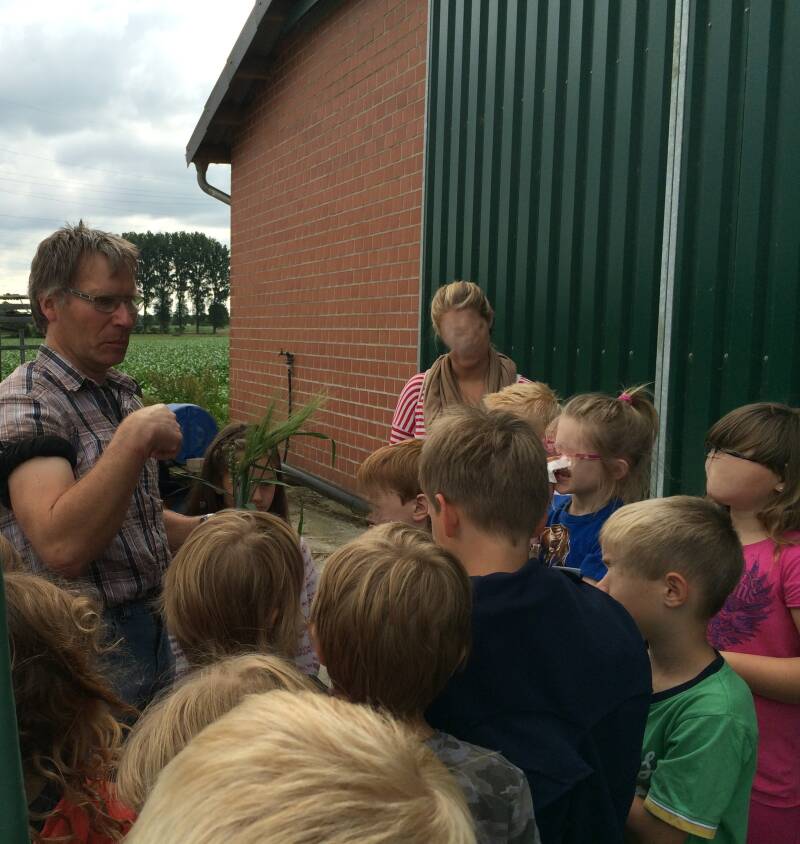 Wilhelm Krebbing erklärt Schülern mit einem Bund Getreide anschaulich und Praxisnah wie eine Pflanze aufgebaut ist. die kinder hören interessiert zu. auch Maispflanzen werden erklärt und den Kindern auf den Feldern gezeigt wie die Pflanzen wachsen.