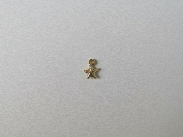 Gouden zeester hanger