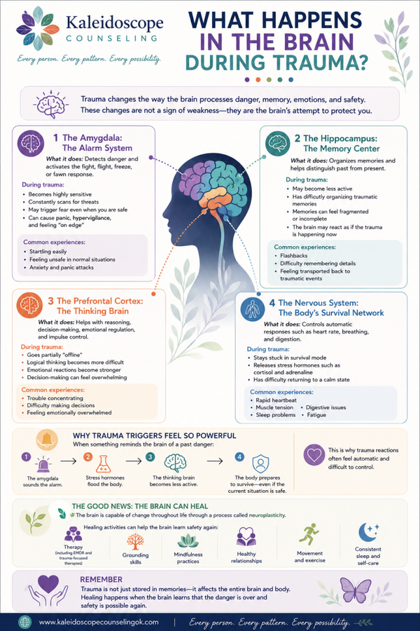 What Happens in the Brain During Trauma