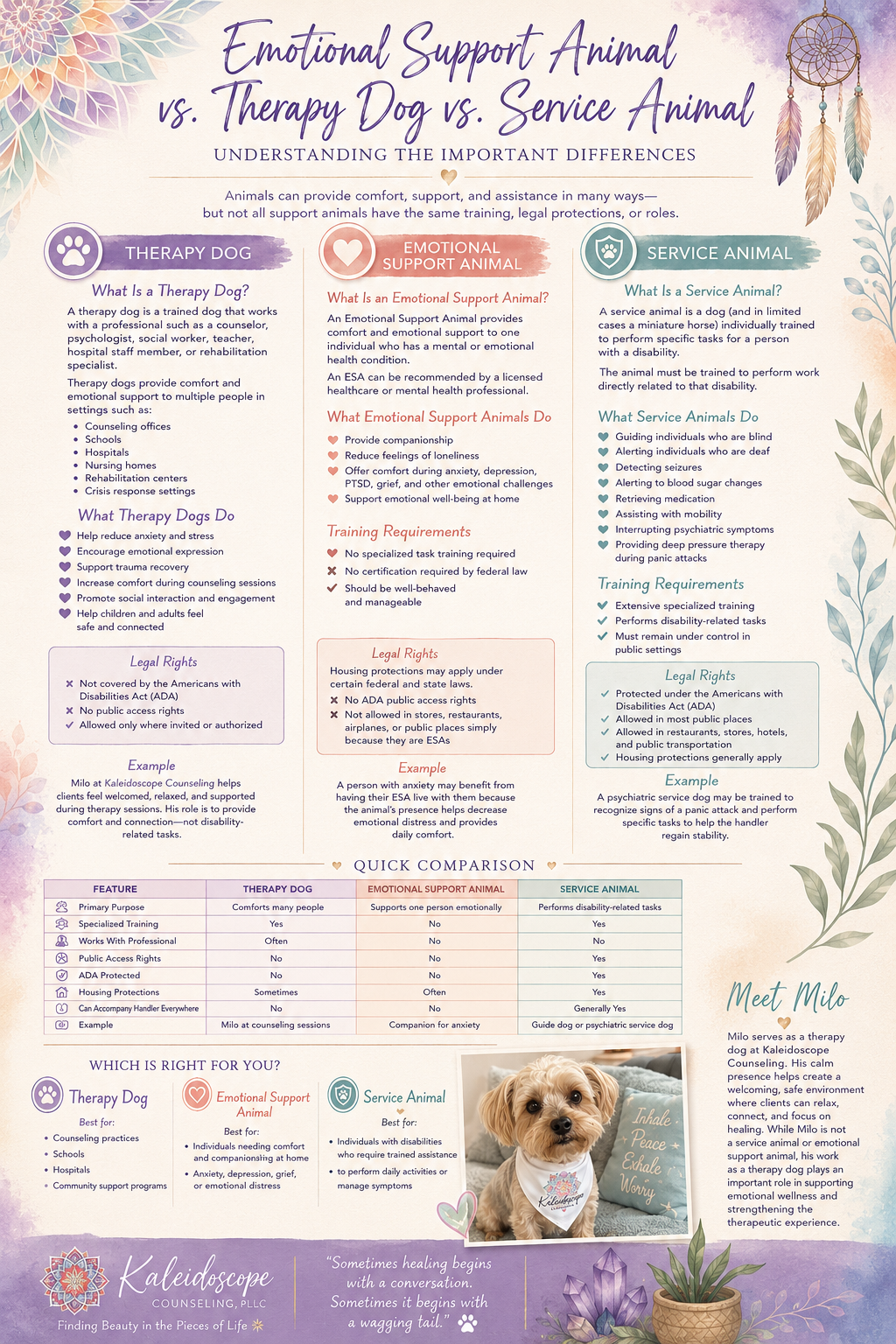 Animals in Therapy