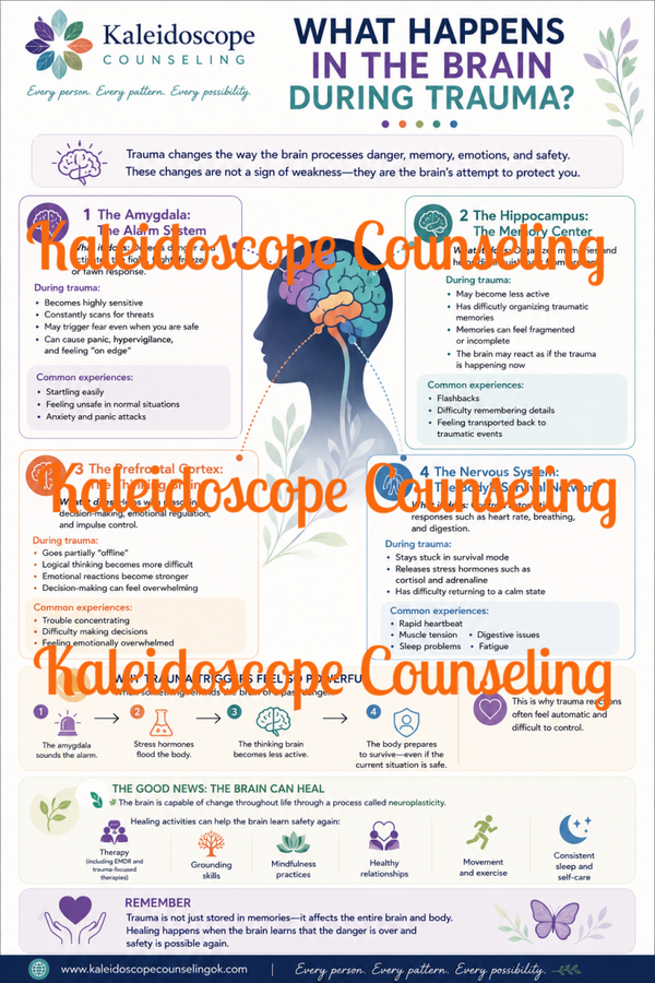 What Happens in the Brain During Trauma