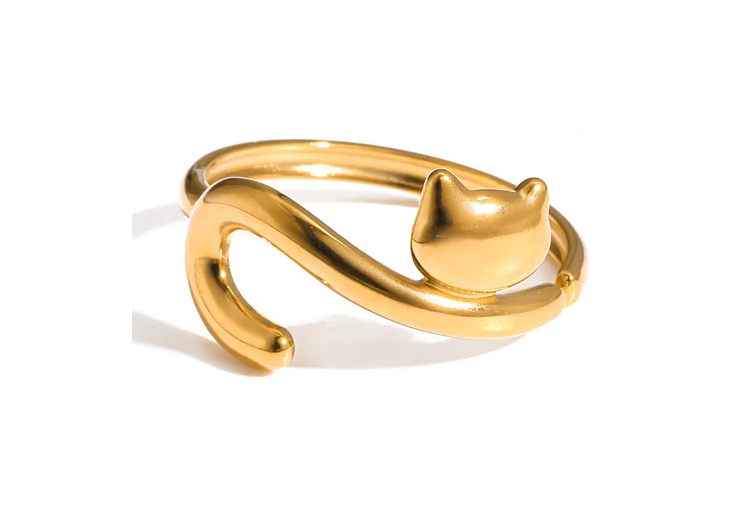 RVS ring kat