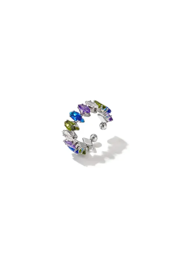 RVS ring kleur