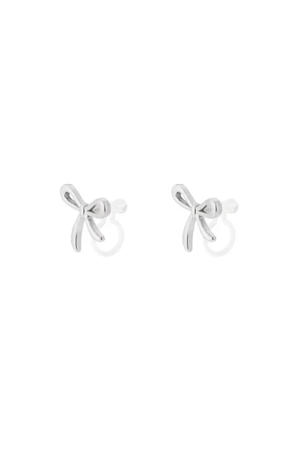 RVS oorbellen clips!