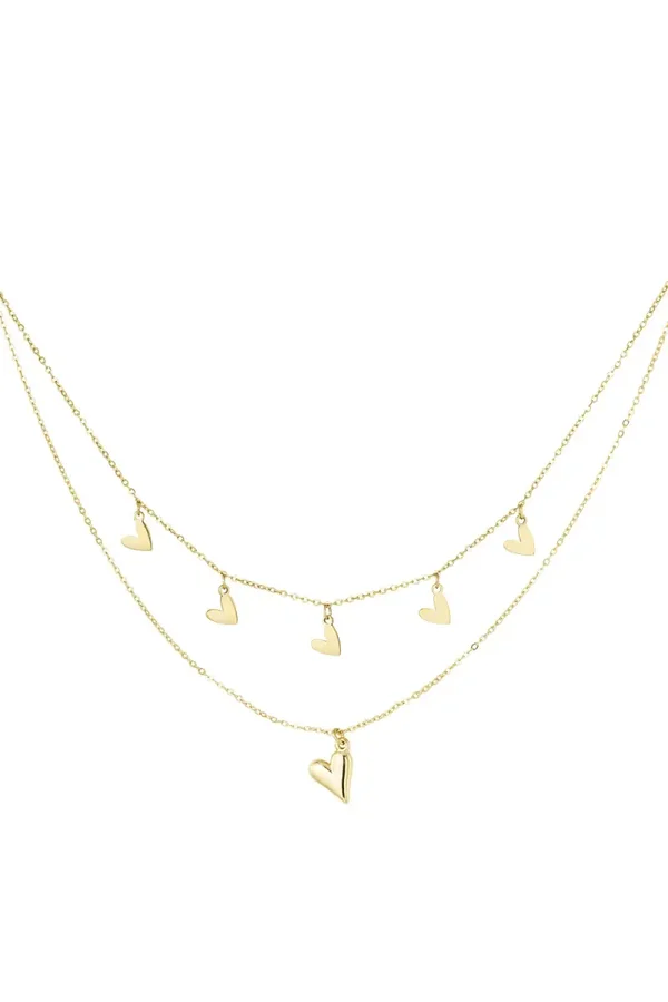 RVS ketting dubbel hartjes