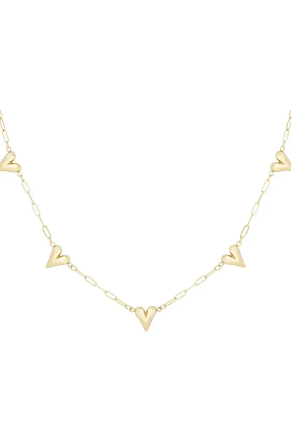 RVS ketting hartjes